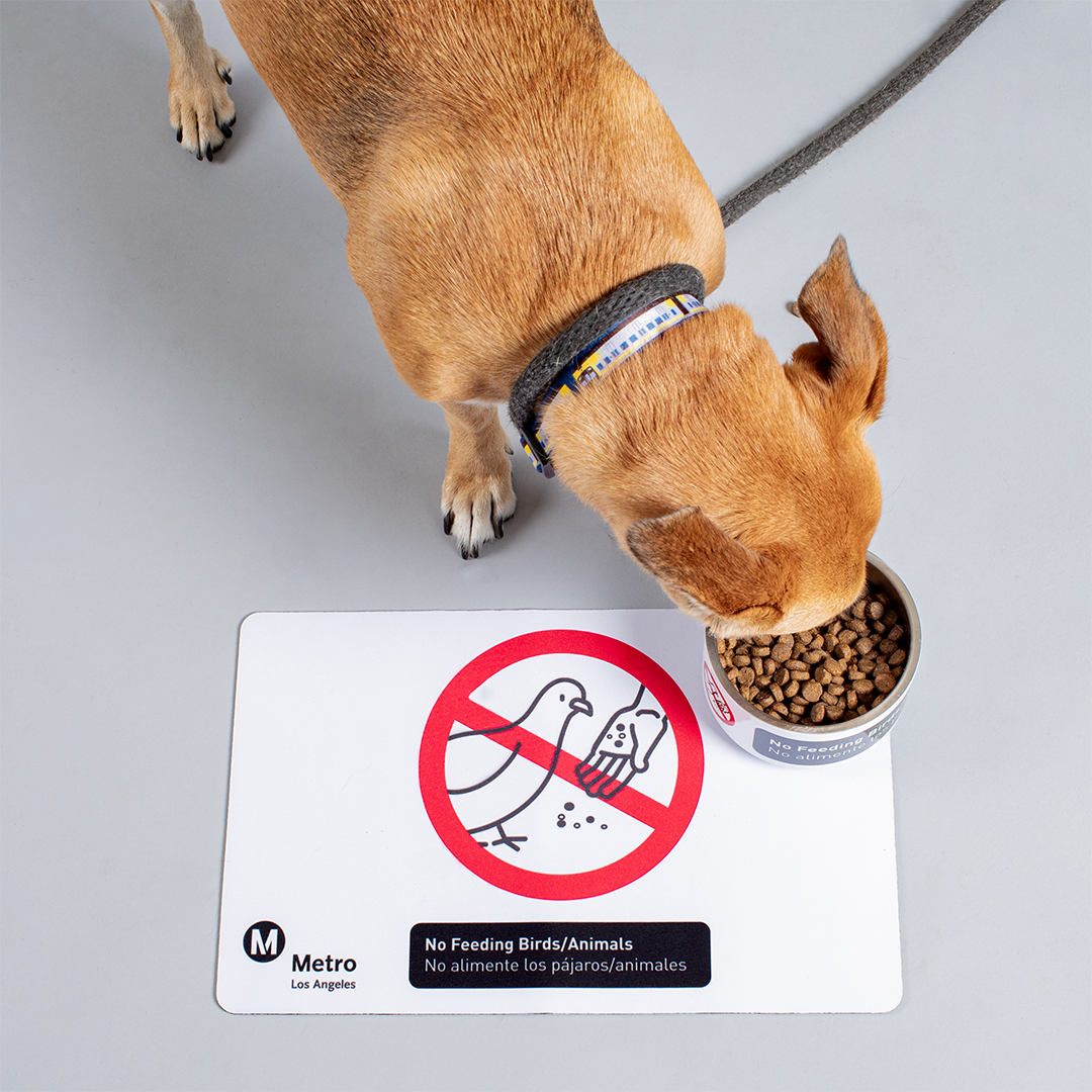 Code of Conduct Pet Bowl Placemat