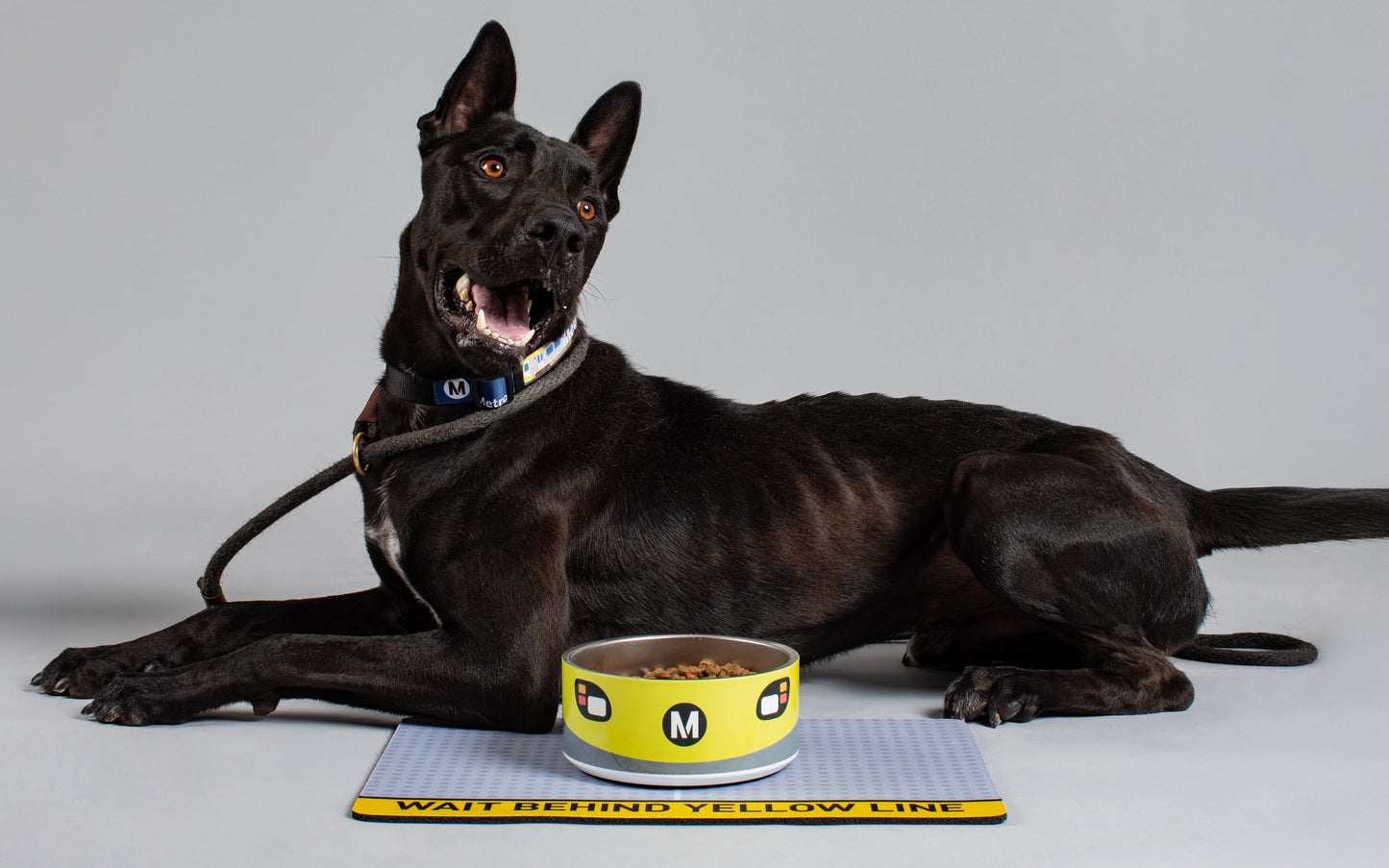 Wait Behind the Yellow Line Pet Bowl Placemat