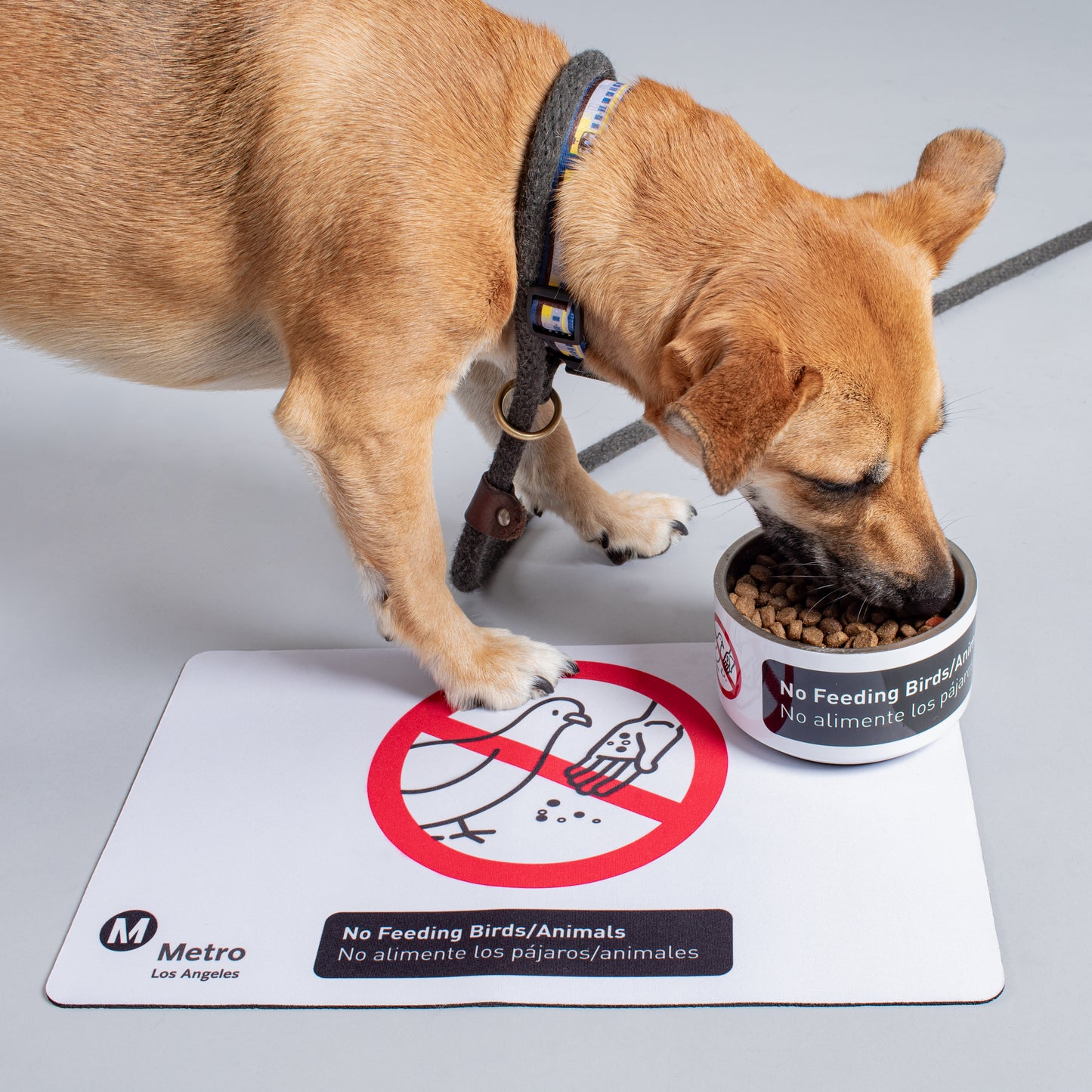 Code of Conduct Pet Bowl Placemat