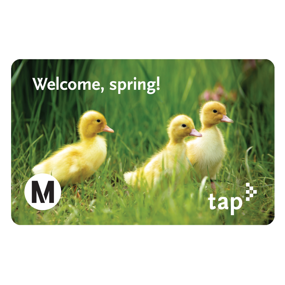 Spring (2022) Collector's TAP Card