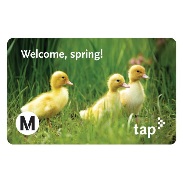 Spring (2022) Collector's TAP Card